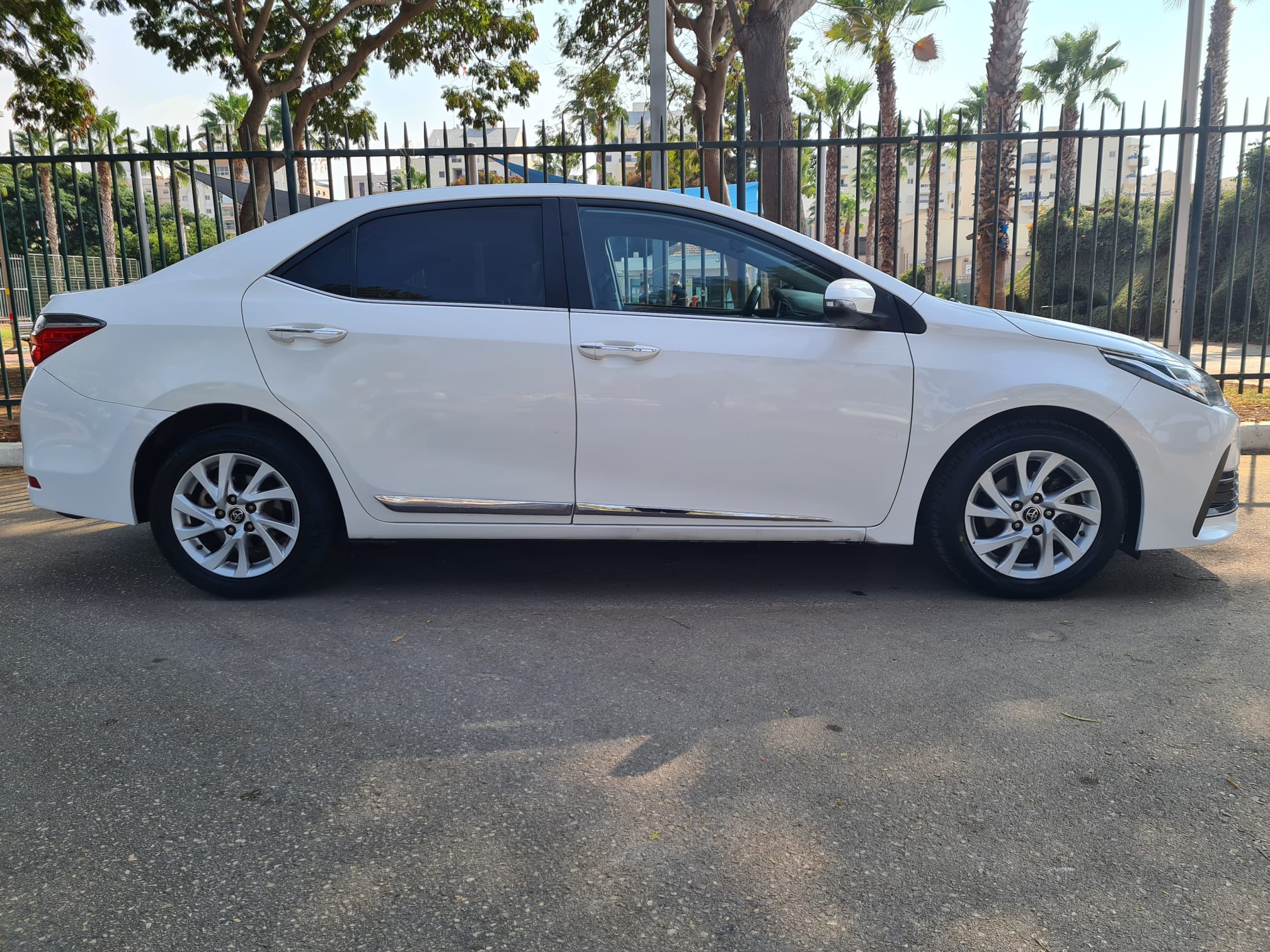 טויוטה קורולה 50TH